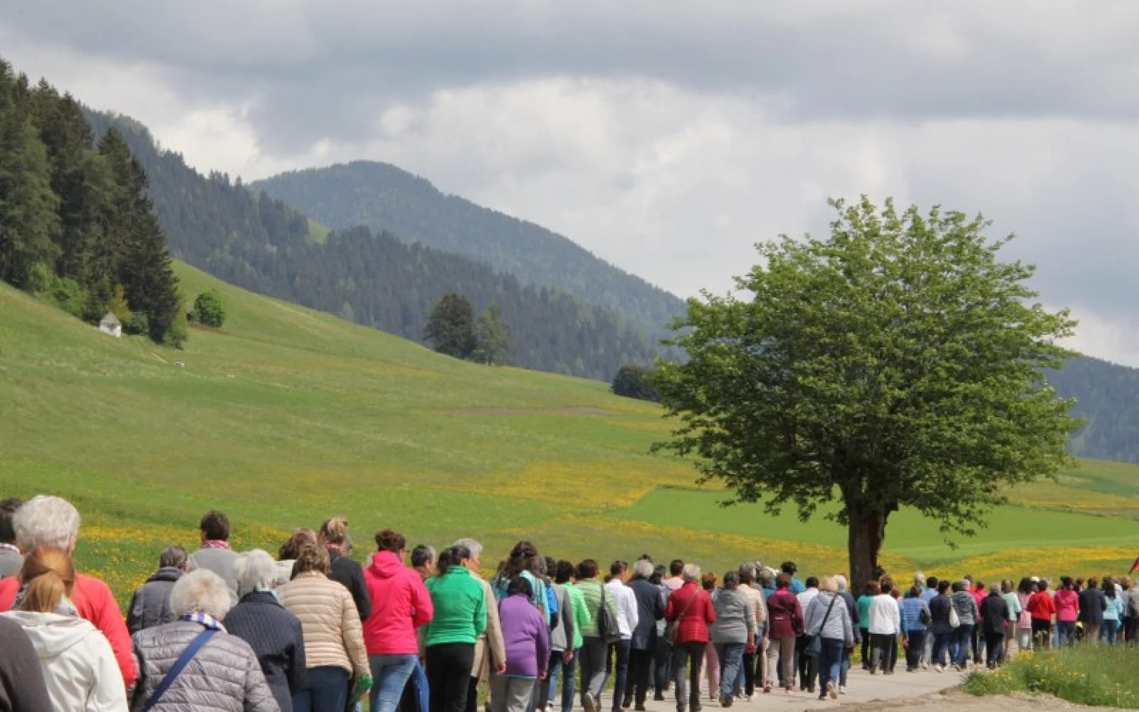 Bezirkswallfahrt Pustertal 2018SBO_IMG_0535 100_800x533.JPG